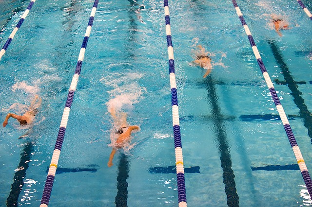 שחייה אימון אירובי | תחרות שחייה | קורס שחייה – אימון שחייה